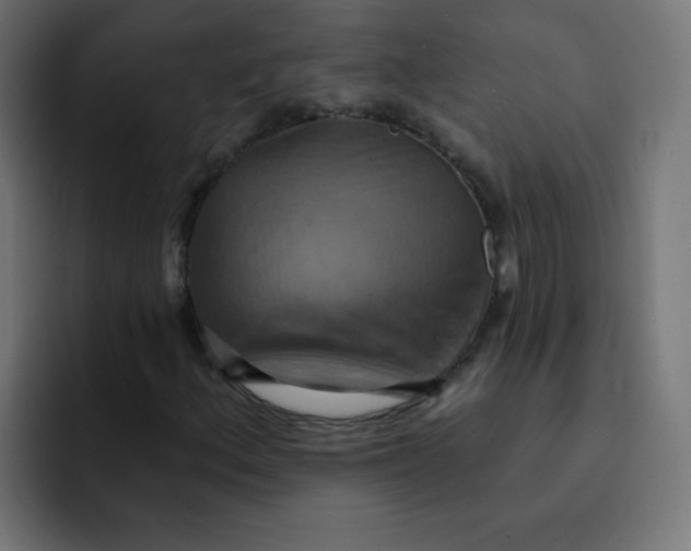 X0000092111156200710031225