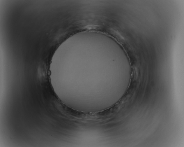 X0000092111158200710031225