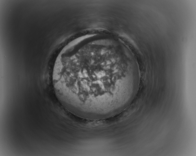 X0000092111159200710031225