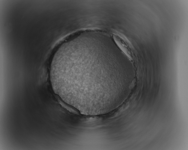 X0000092111160200710031225