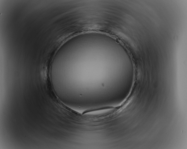 X0000092111161200710031225