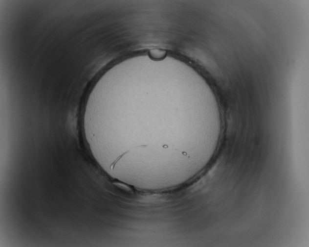 X0000092111162200710031225