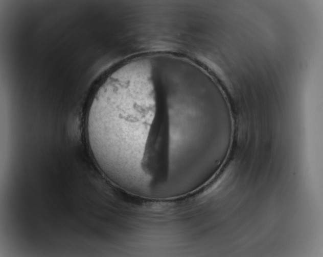 X0000092111163200710031225