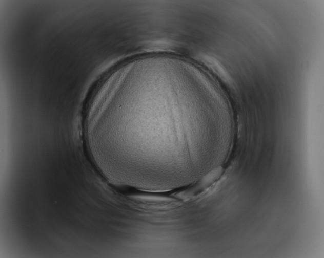 X0000092111164200710031225