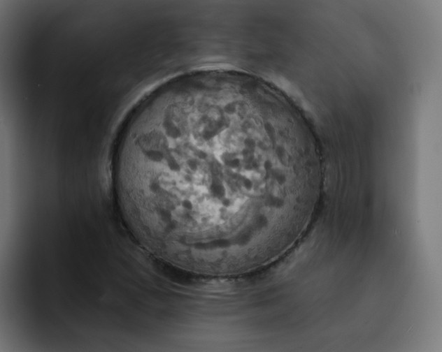 X0000092111167200710031225