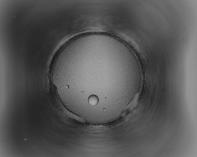 X0000092111168200710031225