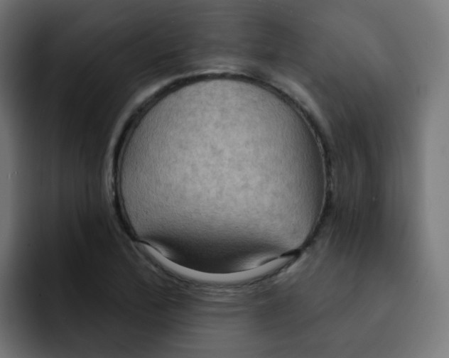 X0000092111172200710031225