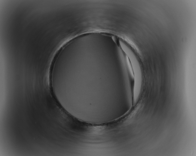 X0000092111173200710031225