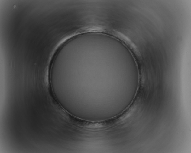 X0000092111174200710031225