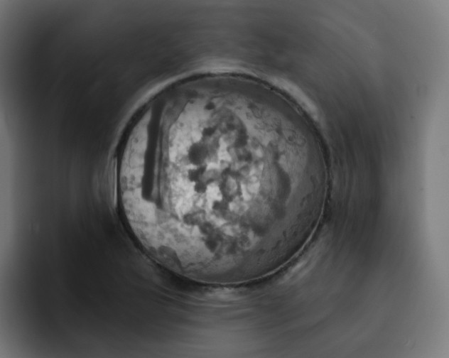 X0000092111175200710031225