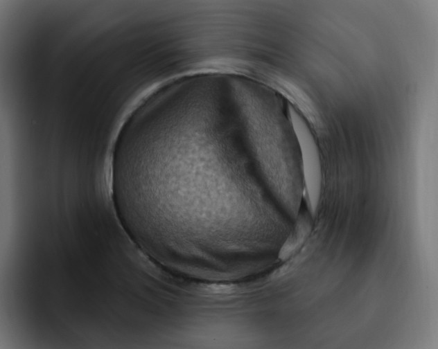 X0000092111180200710031225