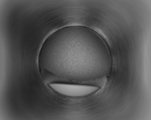 X0000092111181200710031225