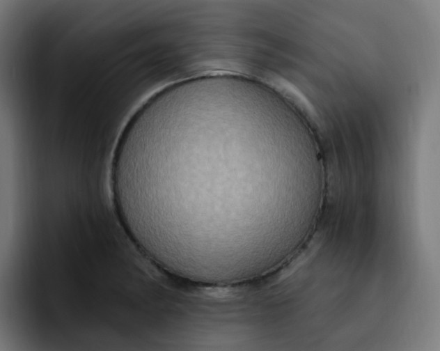 X0000092111182200710031225