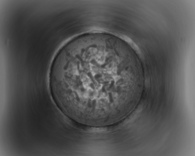 X0000092111183200710031225