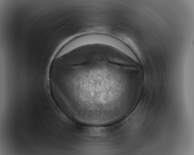 X0000092111184200710031225