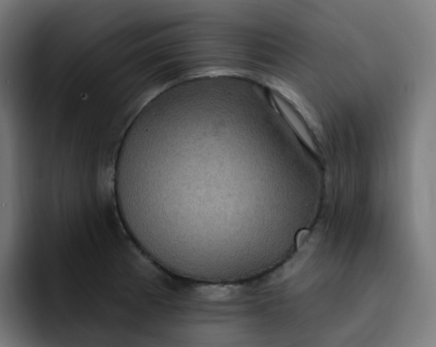 X0000092111185200710031225