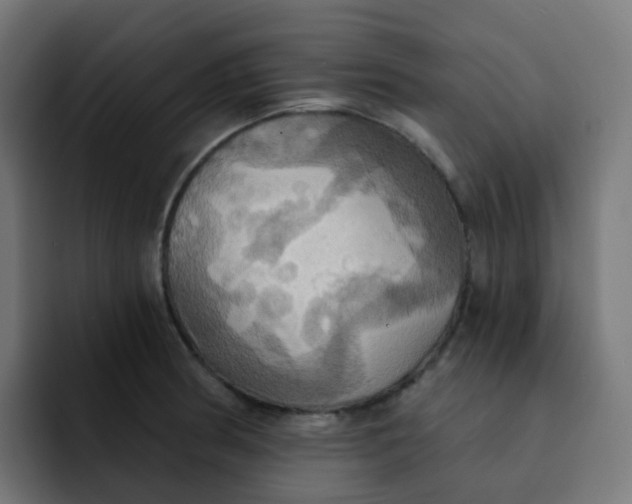 X0000092111186200710031225