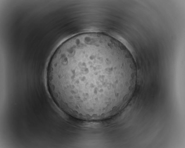 X0000092111187200710031225