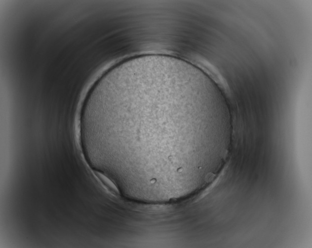 X0000092111188200710031225