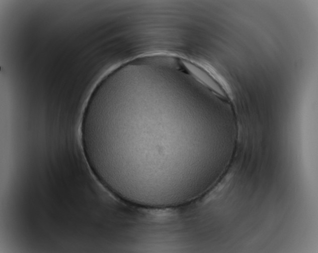 X0000092111189200710031225