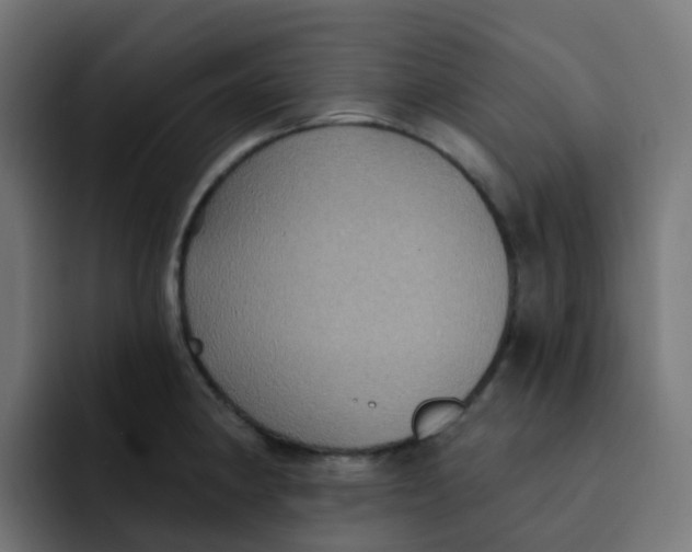 X0000092111190200710031225