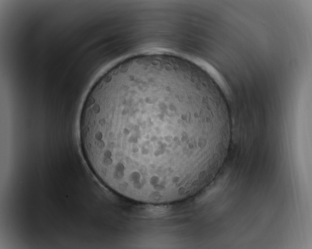 X0000092111191200710031225