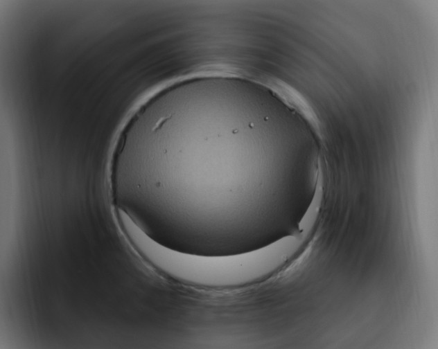 X0000092111192200710031225