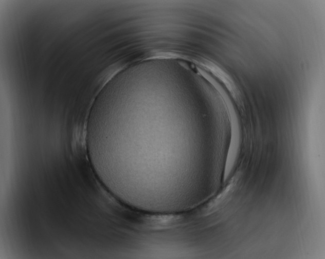 X0000092111193200710031225