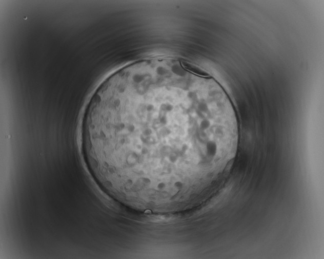 X0000092111195200710031225