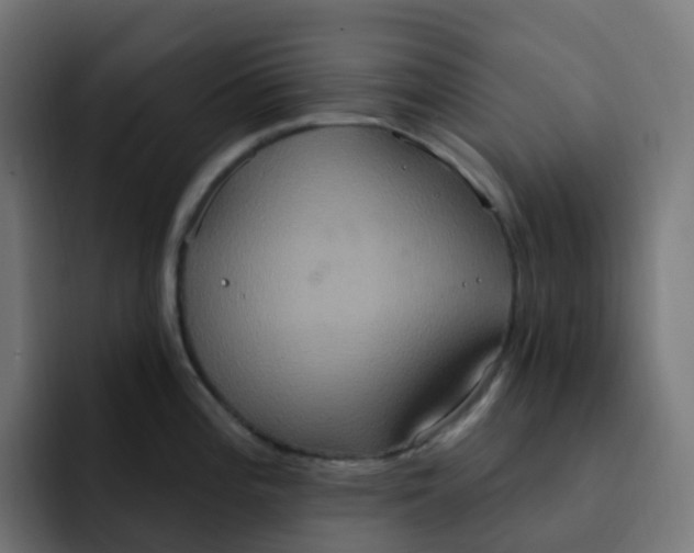 X0000092111196200710031225