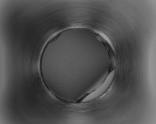 X0000092111197200710031225