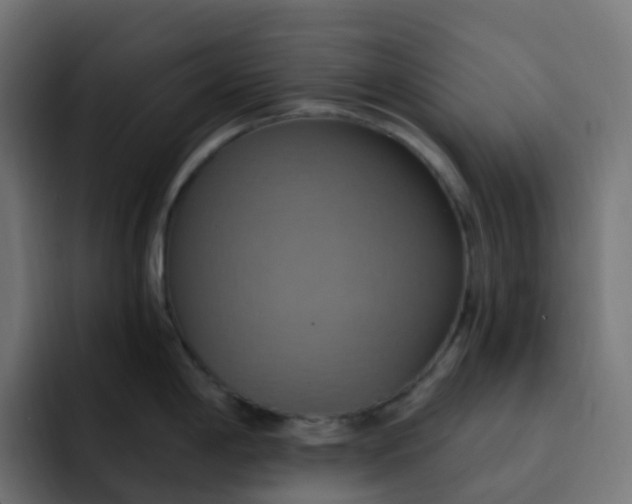 X0000092111198200710031225