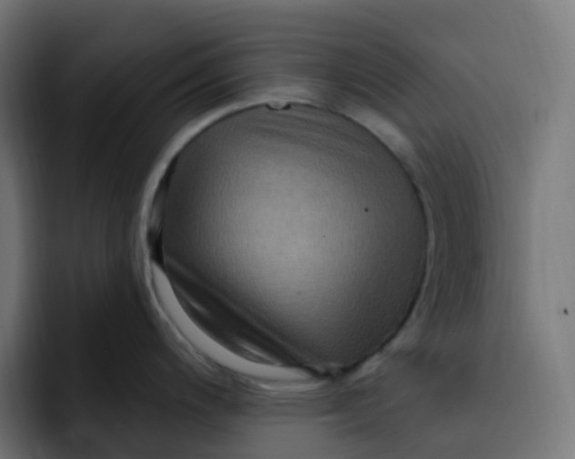 X0000092111200200710031225