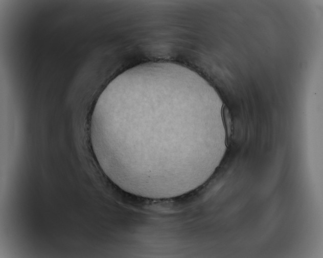 X0000092111201200710031224