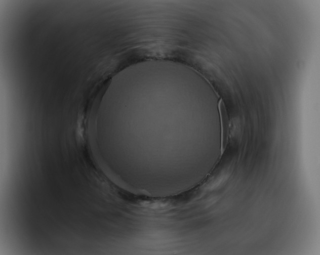 X0000092111202200710031224