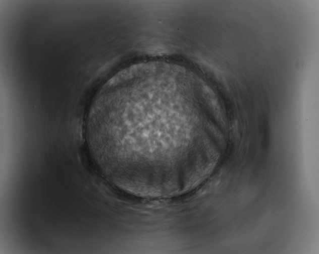 X0000092111205200710031224