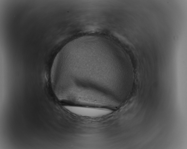 X0000092111206200710031224