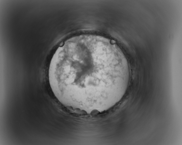 X0000092111208200710031224