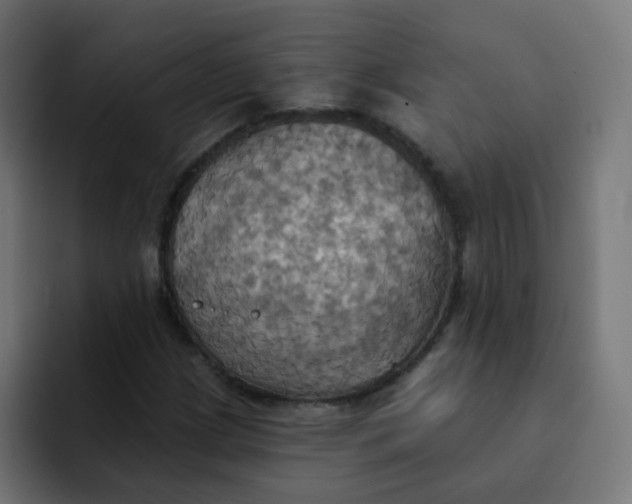 X0000092111209200710031224