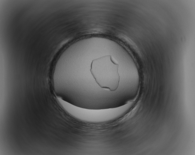 X0000092111210200710031224