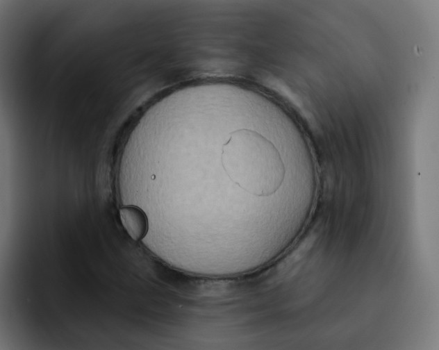 X0000092111211200710031224