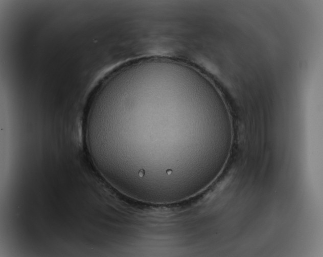 X0000092111214200710031224