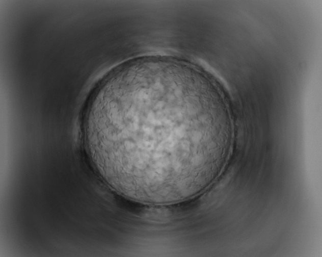 X0000092111215200710031224