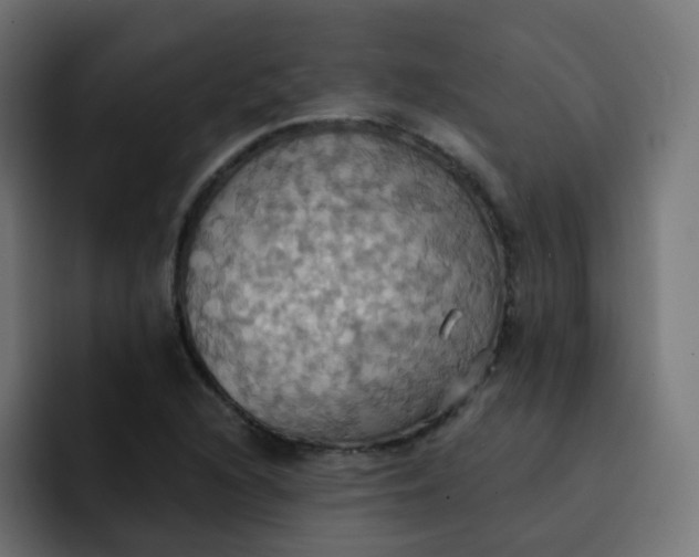 X0000092111216200710031224