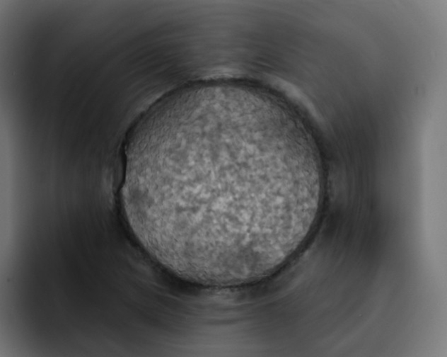 X0000092111217200710031224