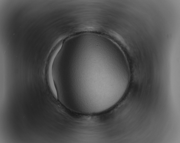 X0000092111218200710031224