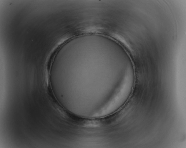 X0000092111219200710031224