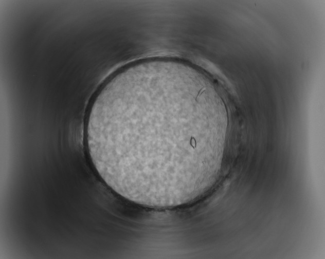 X0000092111220200710031224