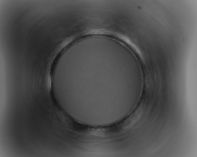 X0000092111221200710031224