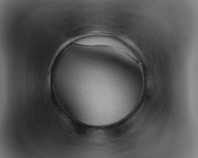 X0000092111222200710031225